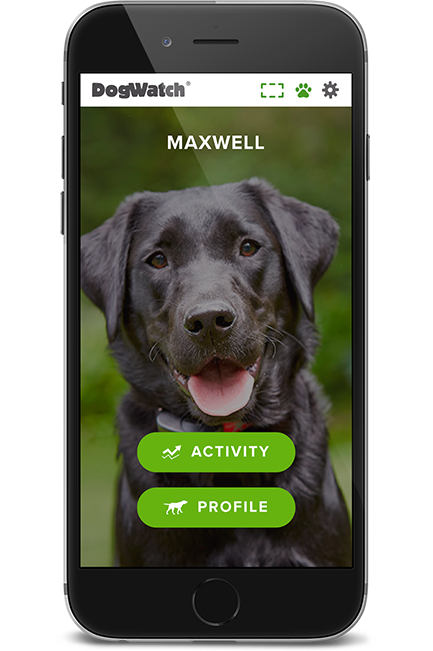 DogWatch of Montana, Bozeman, MT | SmartFence WebApp Image