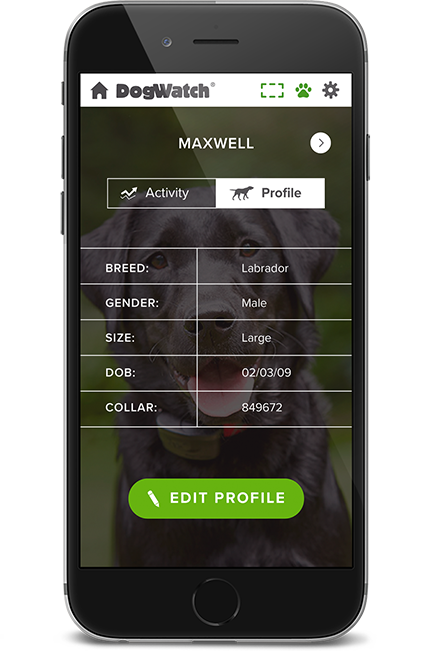 dw-phone-profile-2-1x-1 DogWatch of Montana, Bozeman, MT | SmartFence WebApp Image