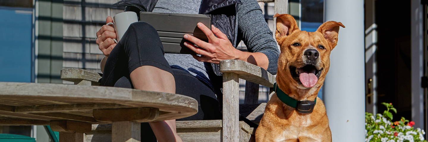 DogWatch of Montana, Bozeman, MT | ProFence Slider Image